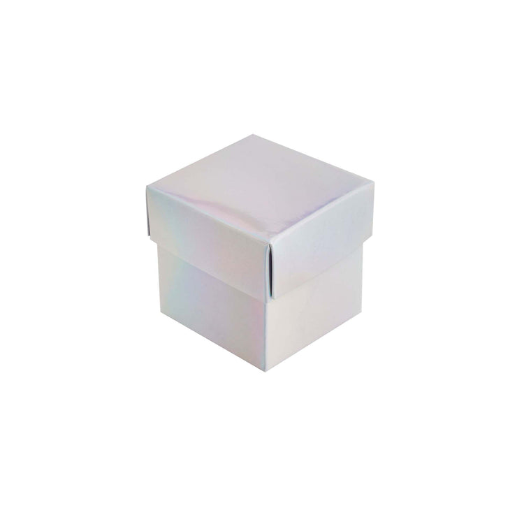 Metallic Mix Up Iridescent Favour Boxes