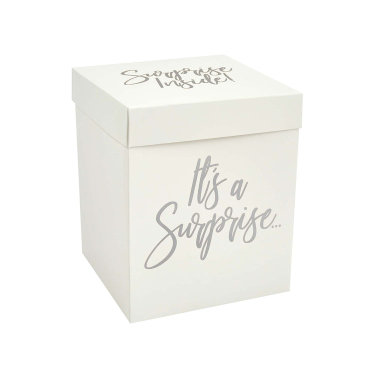 Metallic Mix Up Silver Surprise In A Box Set