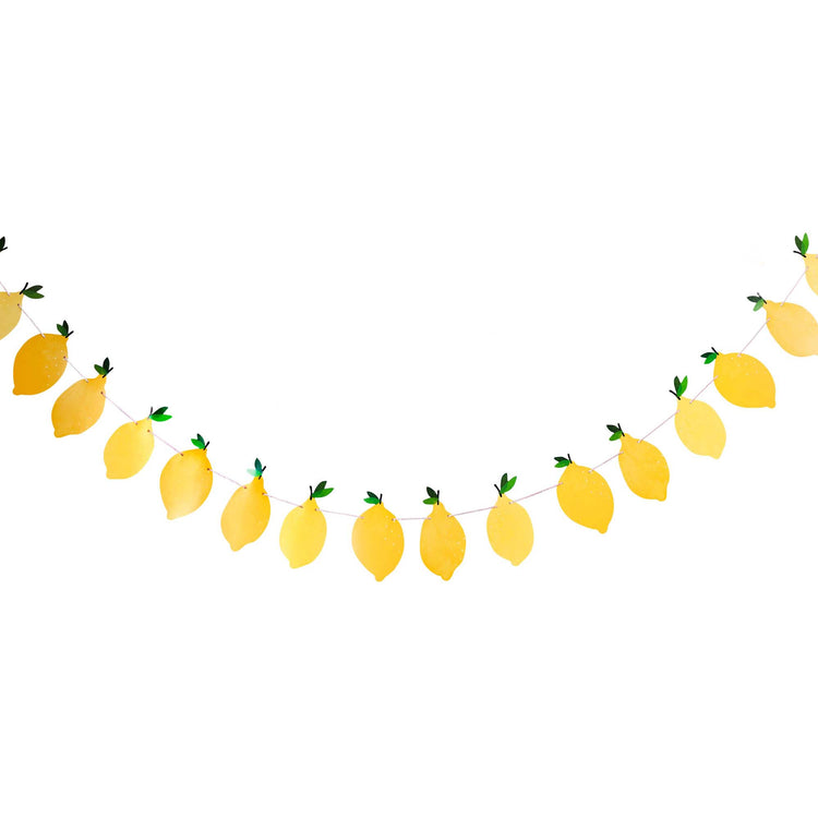 Summer Picnic Lemon Card Garland 2.5m