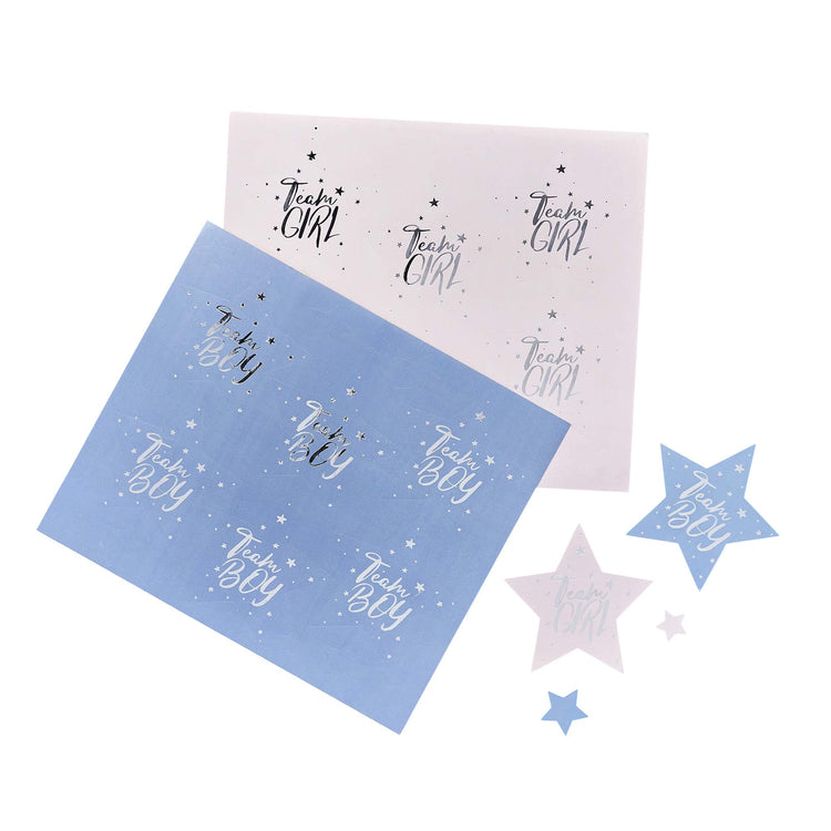 We Wonder What You Are? Team Boy & Team Girl Stickers