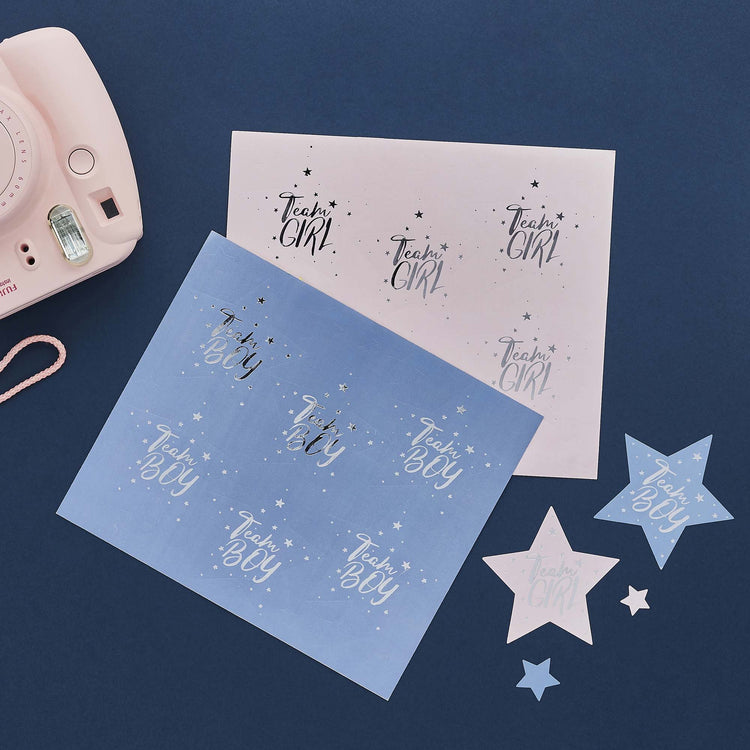 We Wonder What You Are? Team Boy & Team Girl Stickers