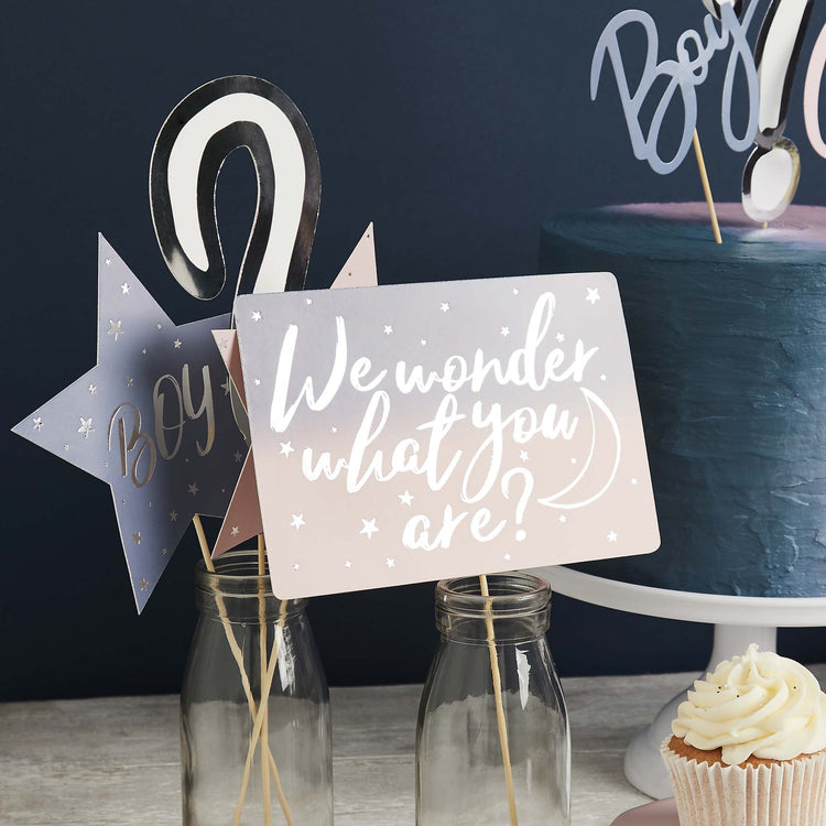 We Wonder What You Are? Gender Reveal Photo Booth Props