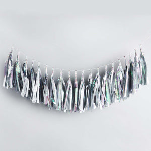 Metallic Mix Up Iridescent Tassel Garland 2m