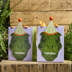 Party Dinosaurs Party Bags