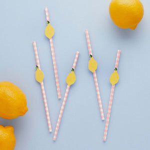 Summer Picnic Lemon & Gingham Paper Straws
