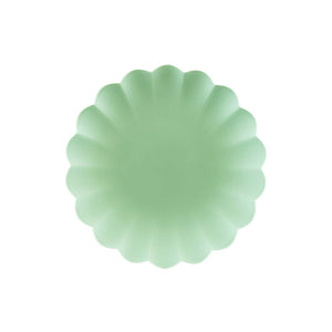Solid Colour 23cm Reusable Plate Pastel Sage