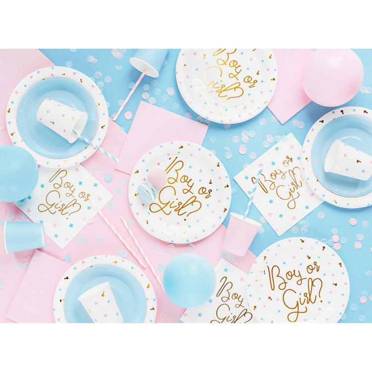 Gender Reveal Lunch Napkins