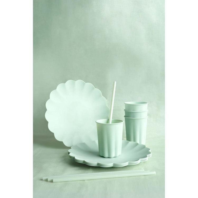 Solid Colour 23cm Reusable Plate Pastel Sage