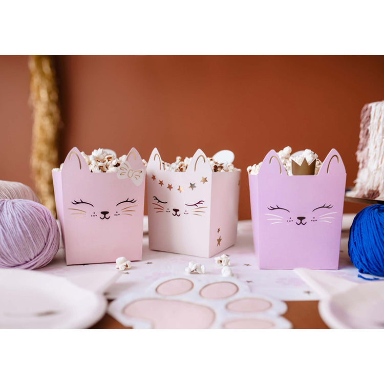 Kitty Party Snack Boxes