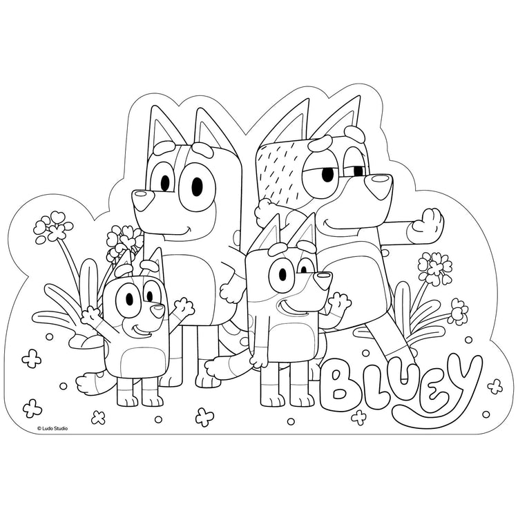 Bluey Colour In Placemats