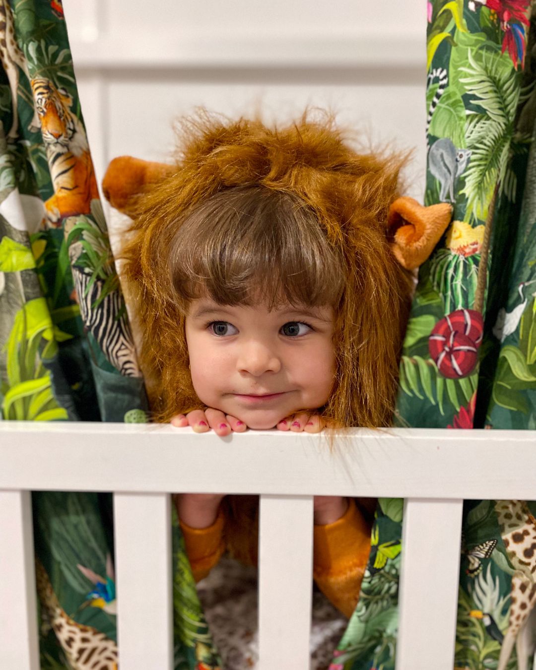 Fearless Lion Deluxe Toddler Costume