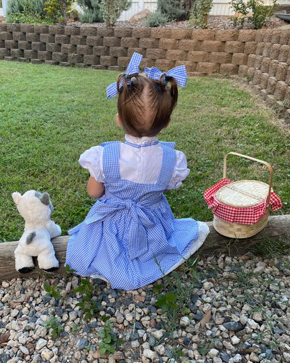 Girl from Oz Deluxe Girls Toddler Book Week Costume