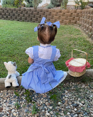 Girl from Oz Deluxe Girls Toddler Costume