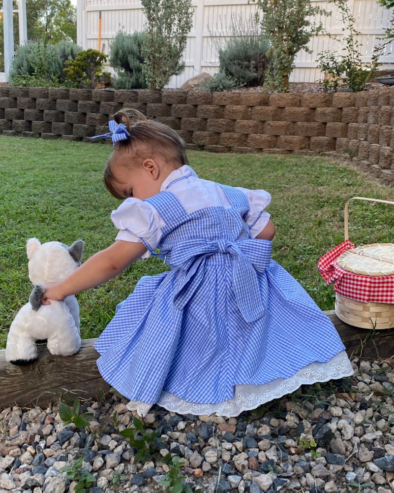 Girl from Oz Deluxe Girls Toddler Book Week Costume