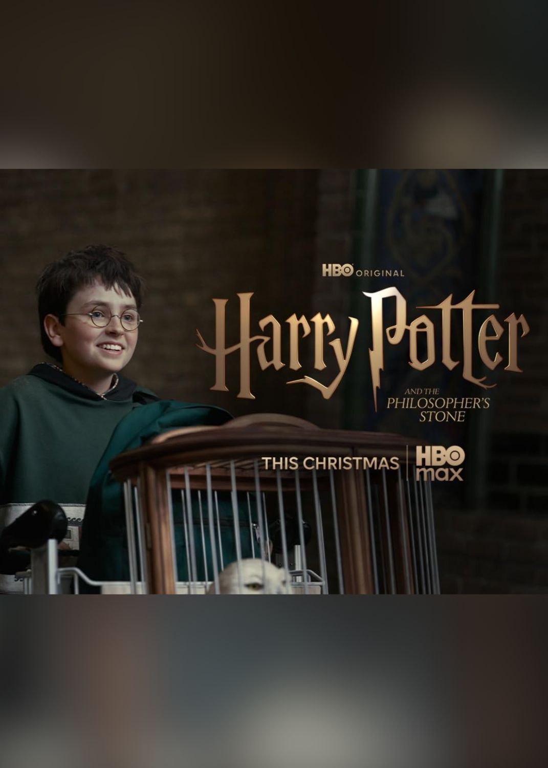 Promotional image for the HBO Original series "Harry Potter and the Philosopher's Stone." On the left, a smiling young boy with short brown hair and round wire-rimmed glasses wearing a green sweater stands next to a birdcage containing a white owl. On the right, gold typography displays the title "Harry Potter and the Philosopher's Stone" alongside the text "HBO ORIGINAL," "THIS CHRISTMAS," and the "HBO Max" logo.