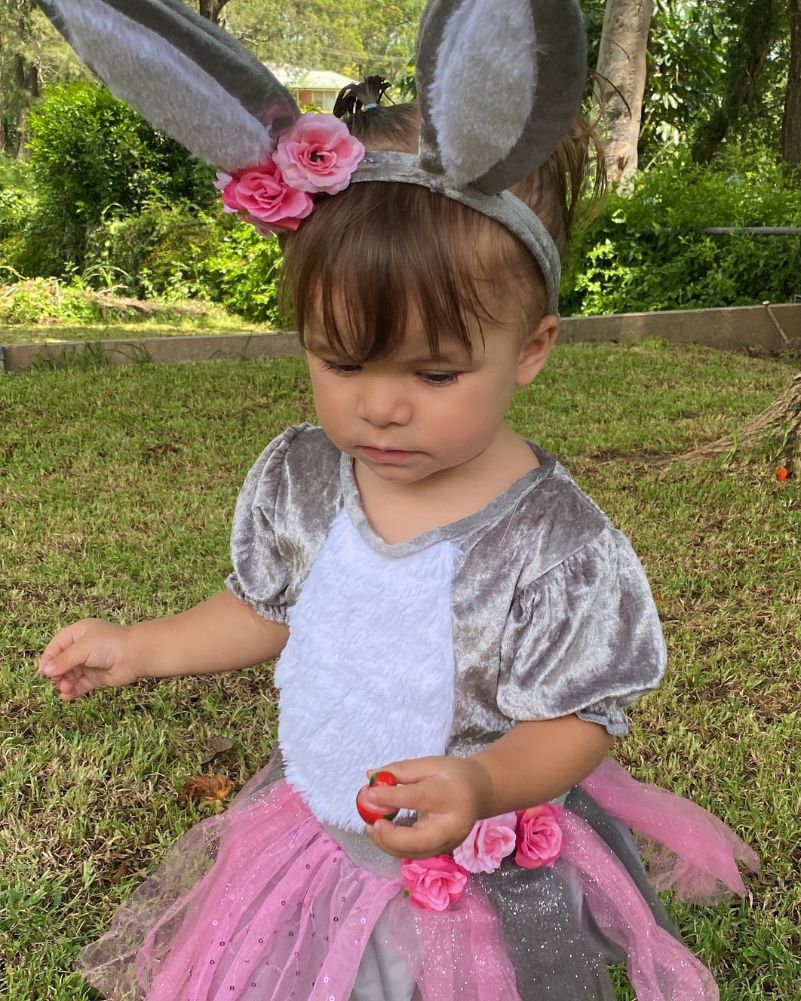 Honey Bunny Girls Toddler Costume