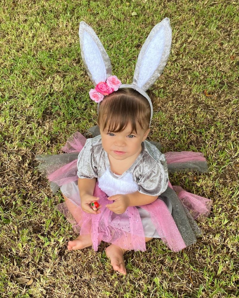 Honey Bunny Girls Toddler Costume