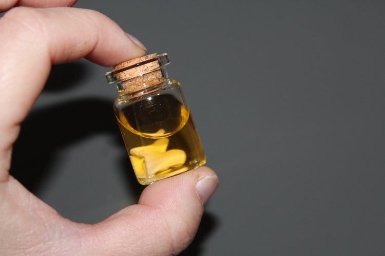 Preserved Snake Bone Vial Prop