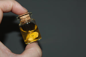 Preserved Snake Bone Vial Prop