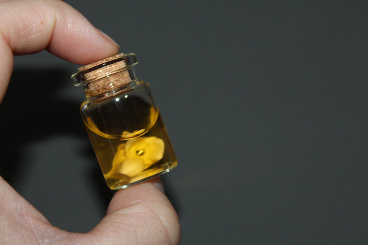 Preserved Snake Bone Vial Prop