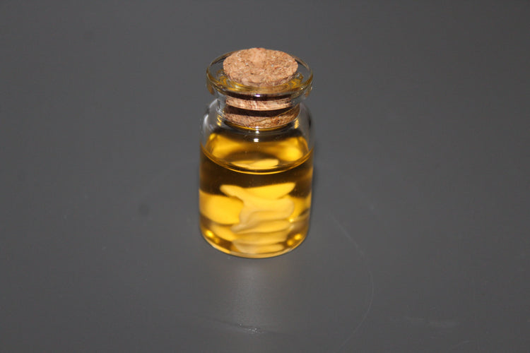 Preserved Snake Bone Vial Prop