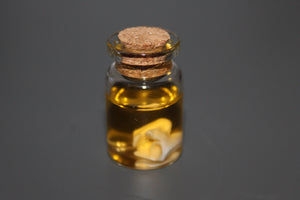Preserved Snake Bone Vial Prop