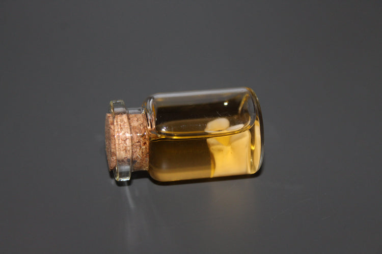 Preserved Snake Bone Vial Prop