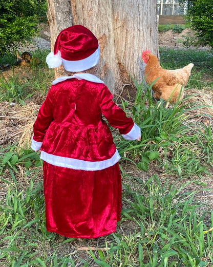 Lil Mrs Claus Dress Toddler and Girls Christmas Costume