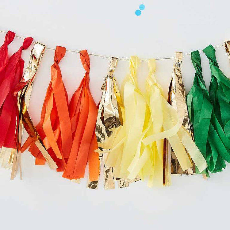 Over The Rainbow Tassel Garland Pack of 17