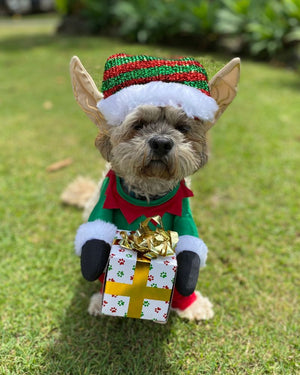Santas Little Yelper Pet Christmas Costume