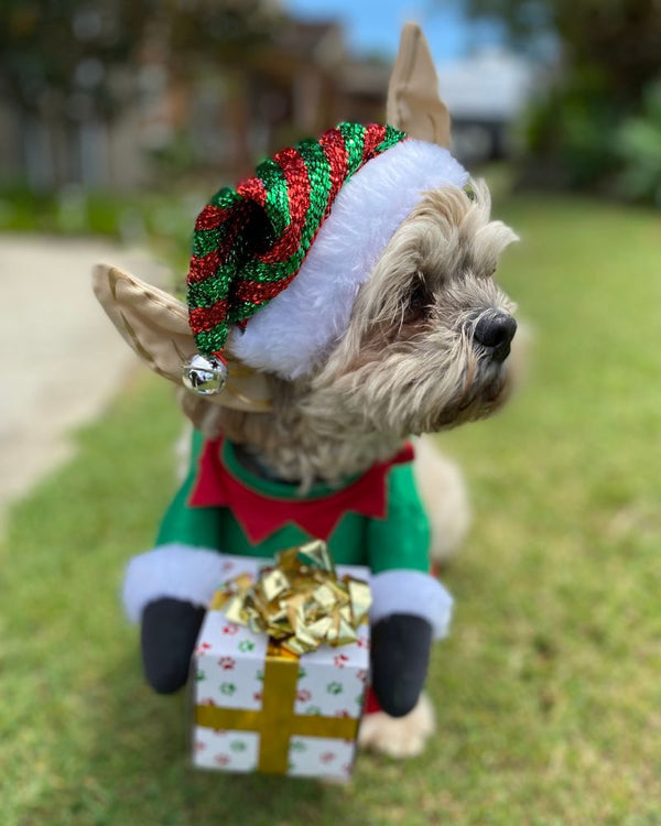 Santas Little Yelper Pet Christmas Costume