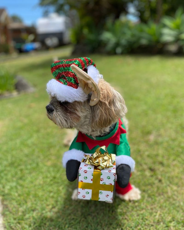 Santas Little Yelper Pet Christmas Costume