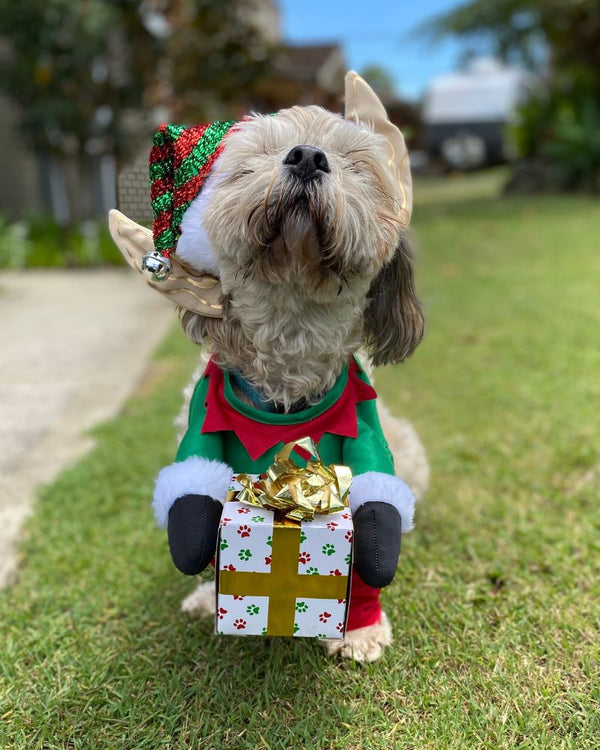 Santas Little Yelper Pet Christmas Costume