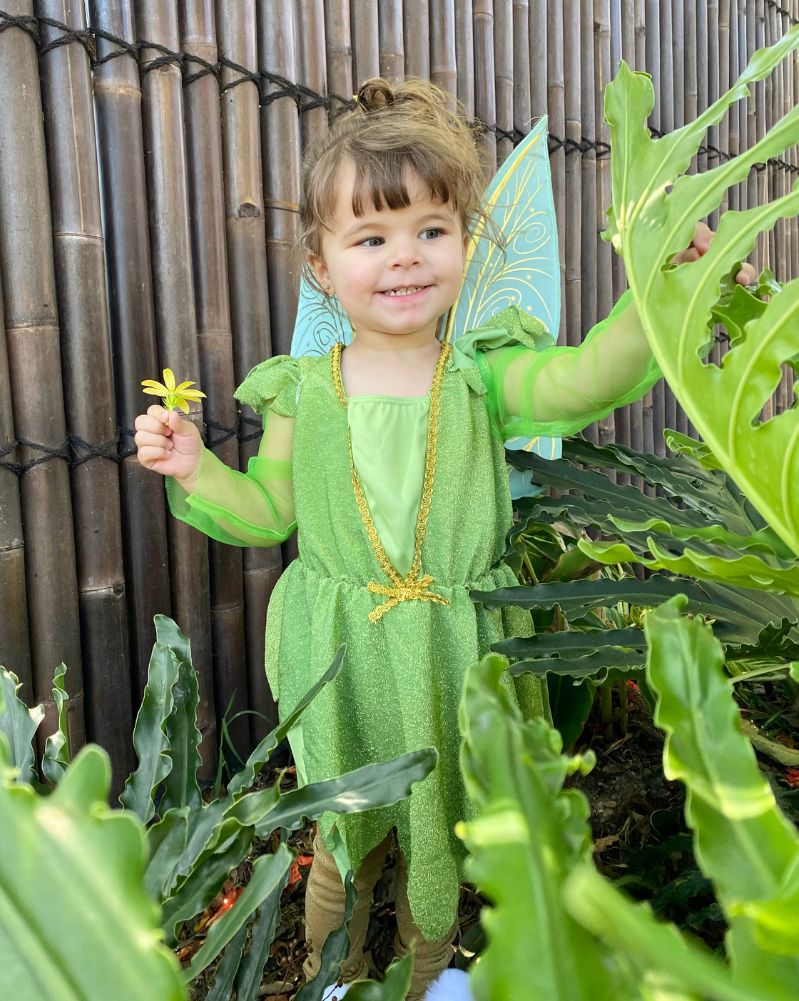 Tiny Tinker Deluxe Toddler Girls Book Week Costume