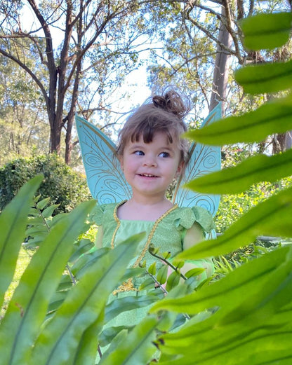 Tiny Tinker Deluxe Toddler Girls Book Week Costume