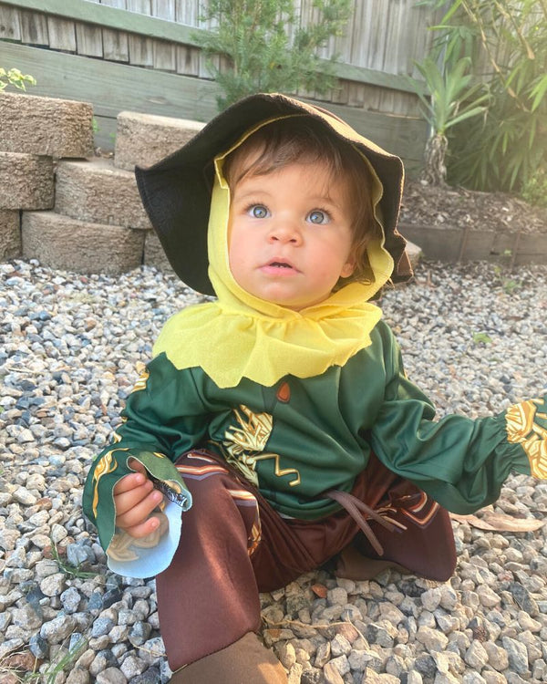 Wizard of Oz Scarecrow Boys Toddler Costume