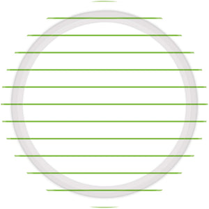 Kiwi Stripes 23cm Round Paper Plates Pack of 8