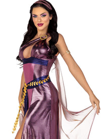 Amethyst Goddess Womens Costume