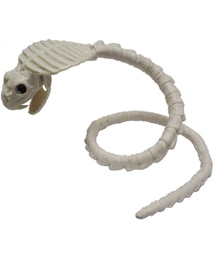 Bendable Cobra Skeleton Decoration 1m