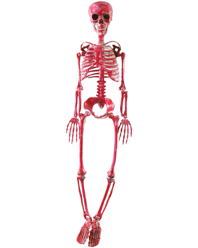 Bloody Skeleton 90cm For Halloween