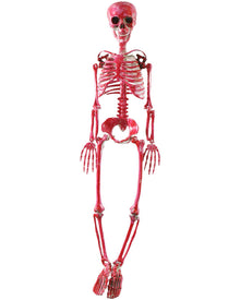Bloody Skeleton 90cm For Halloween