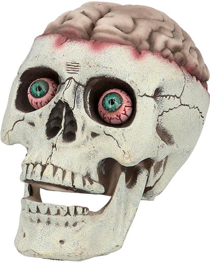 Brain Dead with Movable Jaw Skull Prop