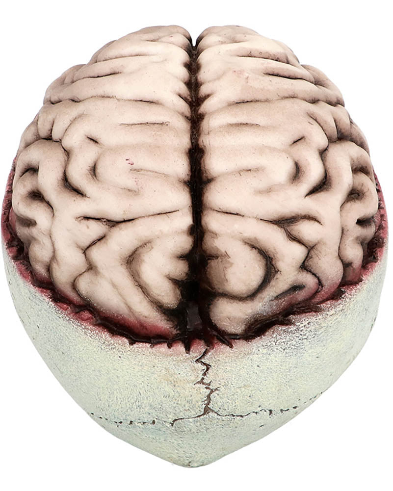 Brain Dead with Movable Jaw Skull Prop