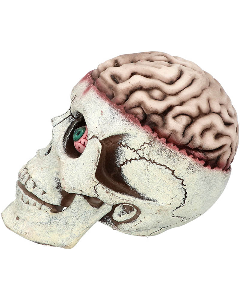 Brain Dead with Movable Jaw Skull Prop
