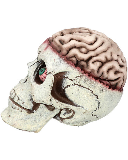 Brain Dead with Movable Jaw Skull Prop