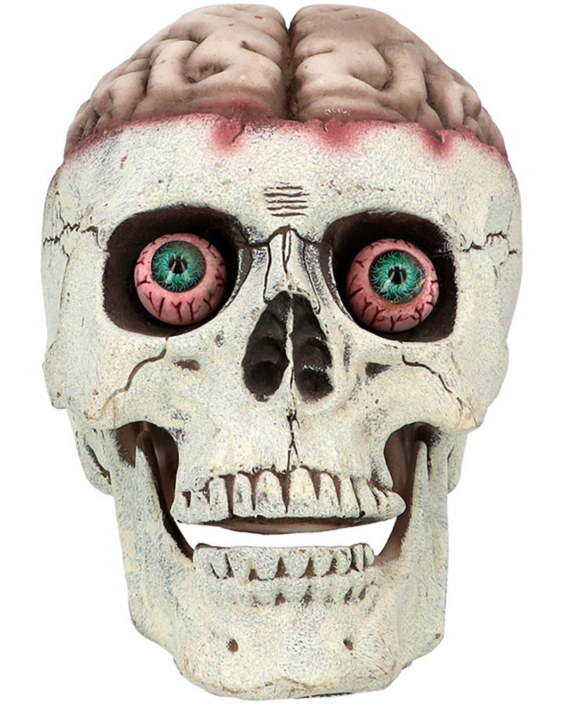 Brain Dead with Movable Jaw Skull Prop