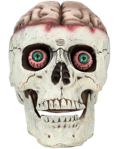 Brain Dead with Movable Jaw Skull Prop