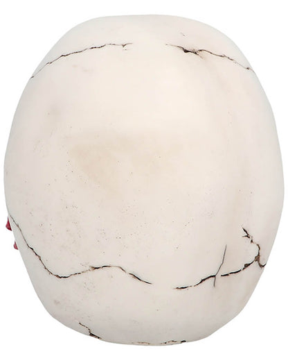Casanova Skull Prop