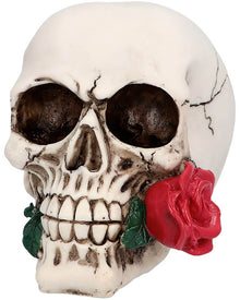 Casanova Skull Prop