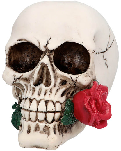 Casanova Skull Prop